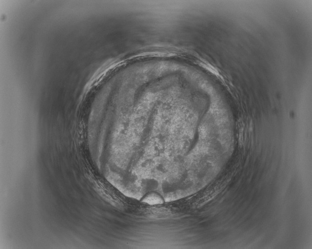 X0000085001448200703261116