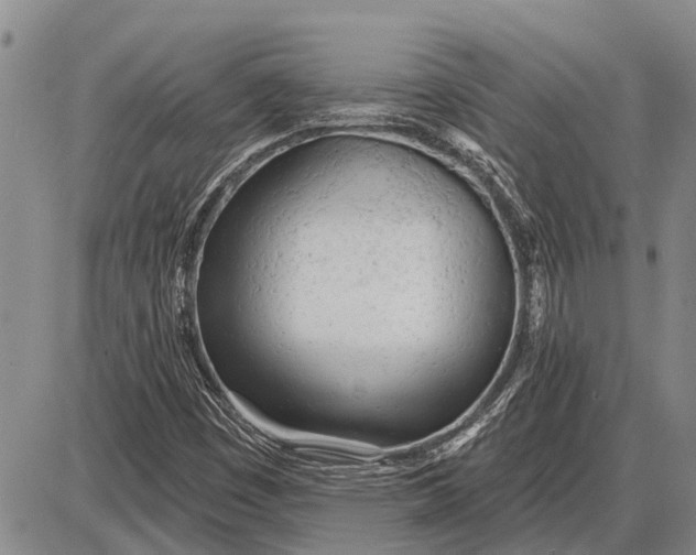 X0000085001449200703261116