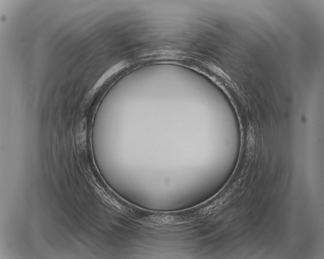 X0000085001450200703261116