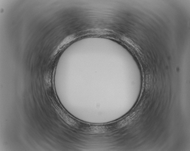 X0000085001451200703261116