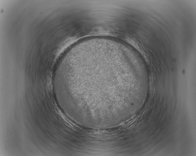 X0000085001452200703261116