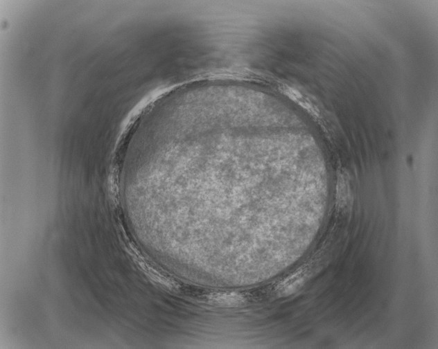 X0000085001454200703261116