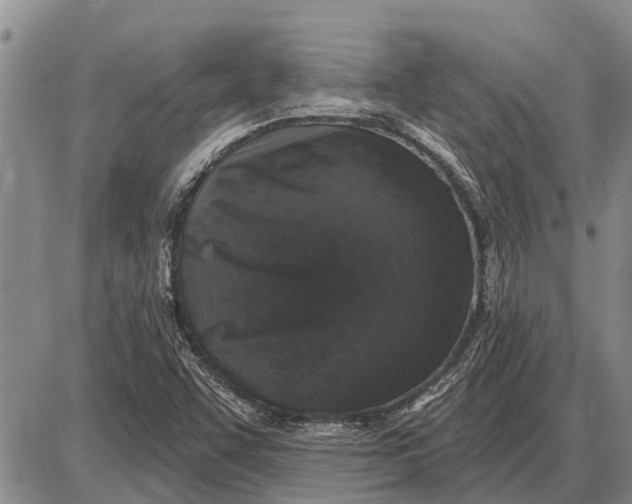 X0000085001455200703261116