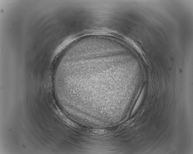 X0000085001456200703261116