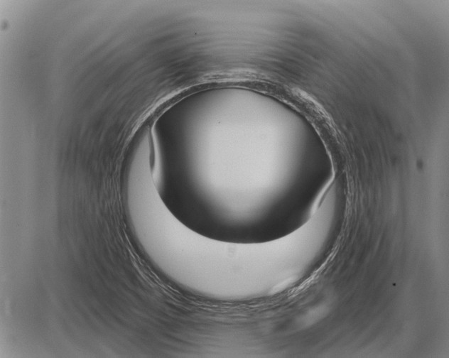 X0000085001457200703261116