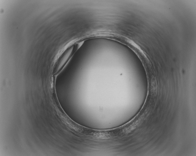 X0000085001461200703261116