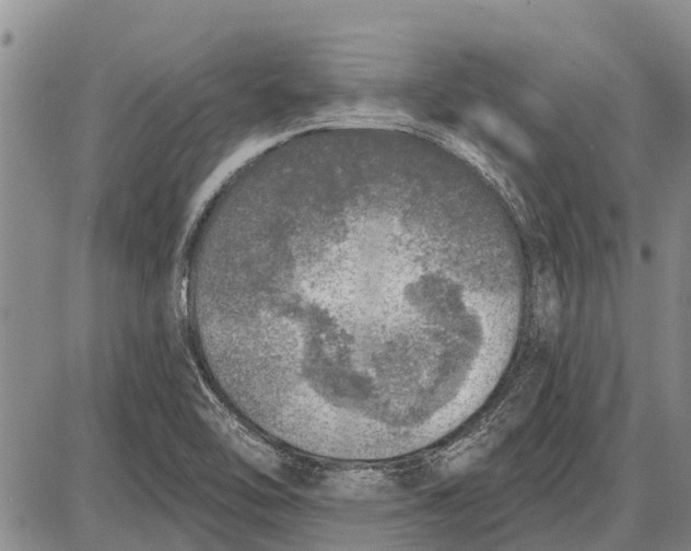 X0000085001462200703261116