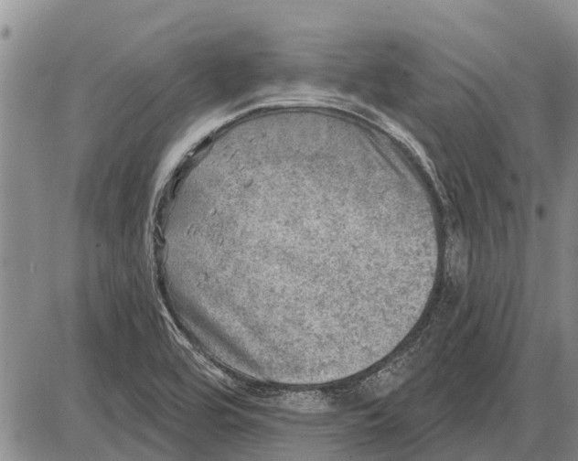 X0000085001464200703261116