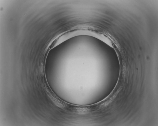 X0000085001465200703261116