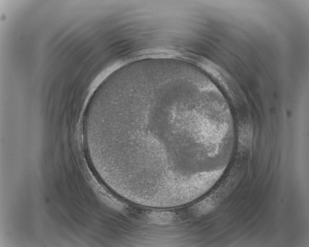 X0000085001466200703261116