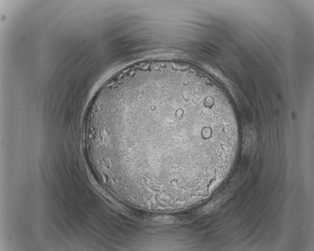 X0000085001467200703261116