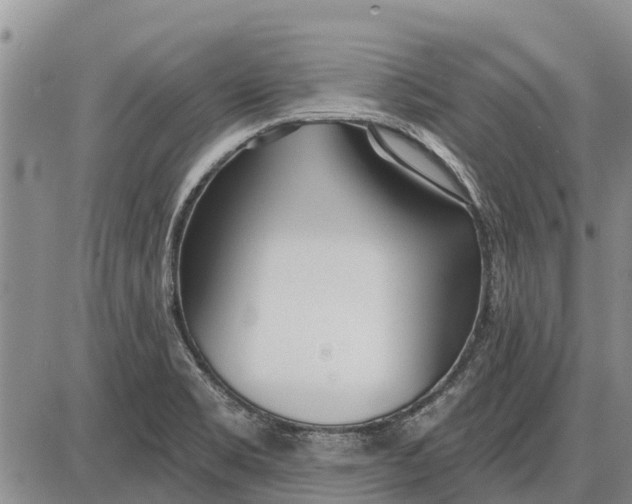 X0000085001469200703261116