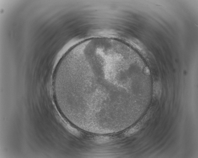 X0000085001470200703261116