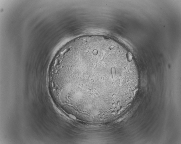 X0000085001471200703261116