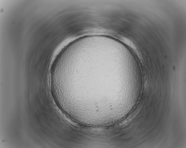 X0000085001472200703261116