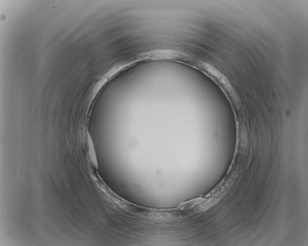 X0000085001473200703261116