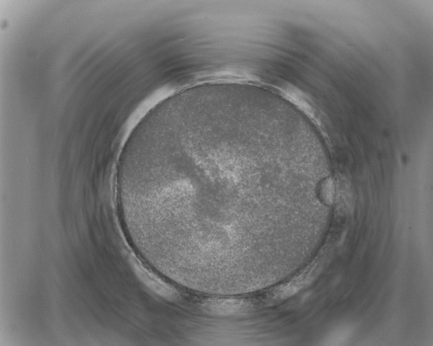 X0000085001474200703261116