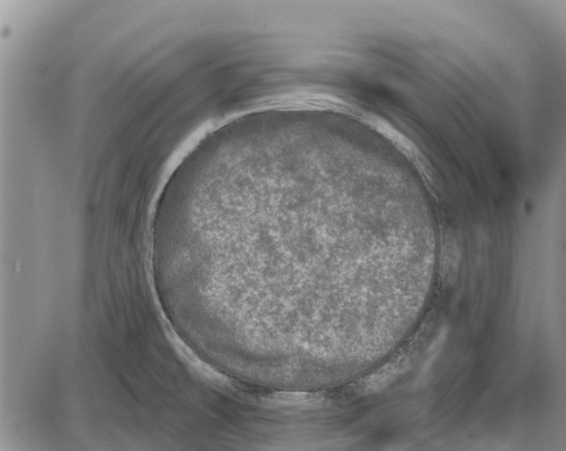 X0000085001478200703261116