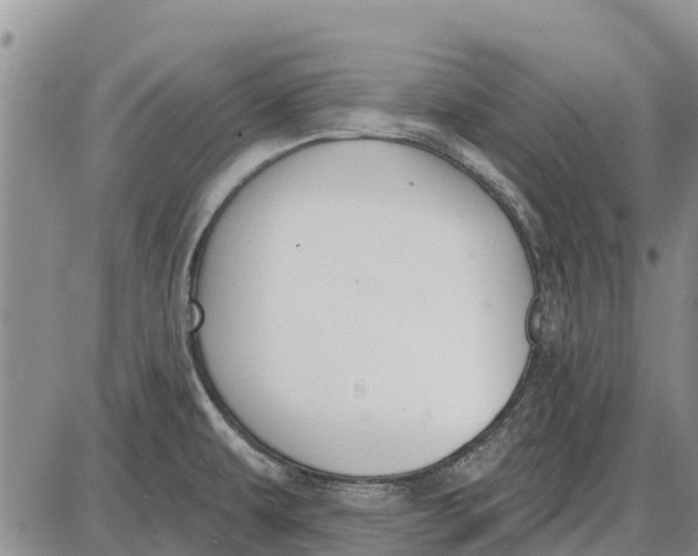 X0000085001479200703261116