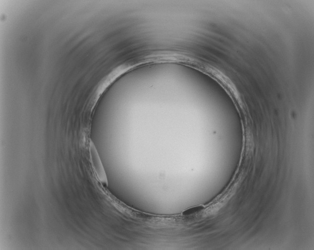 X0000085001481200703261116