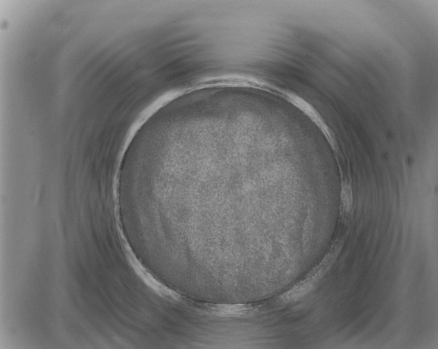 X0000085001482200703261116