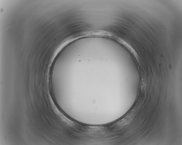 X0000085001483200703261115