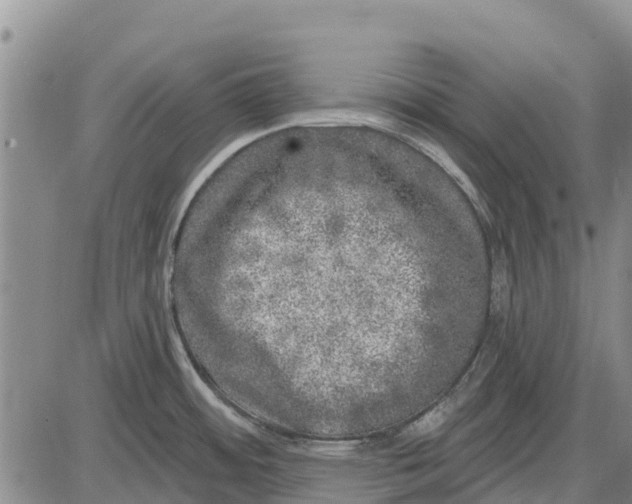 X0000085001484200703261115