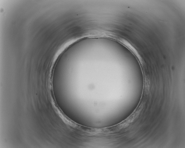 X0000085001485200703261115