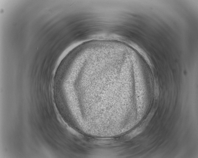 X0000085001486200703261115