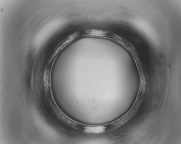 X0000085001487200703261115