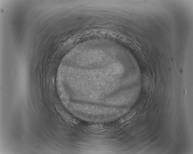 X0000085001489200703261115