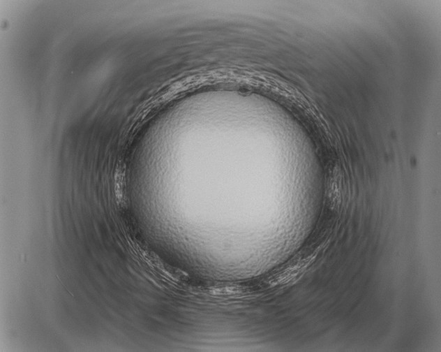 X0000085001490200703261115