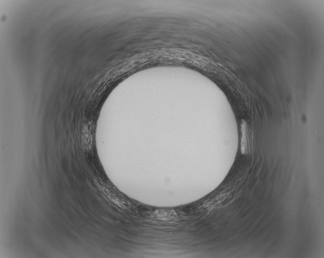 X0000085001491200703261115