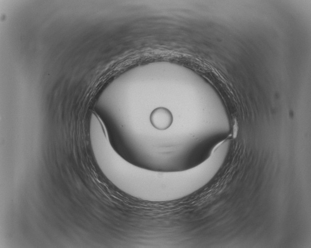 X0000085001492200703261115