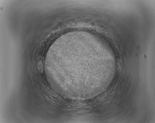 X0000085001493200703261115