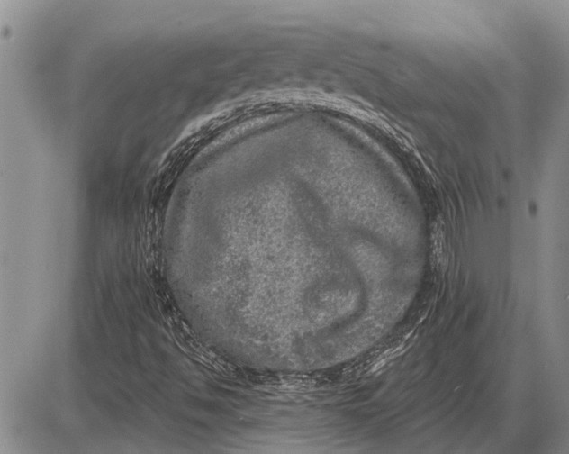 X0000085001494200703261115