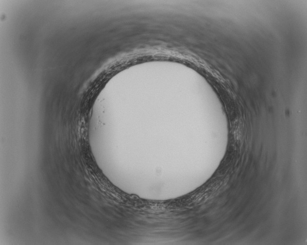 X0000085001495200703261115