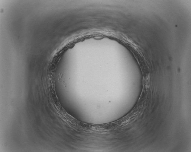 X0000085001496200703261115