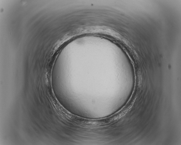 X0000085001497200703261115