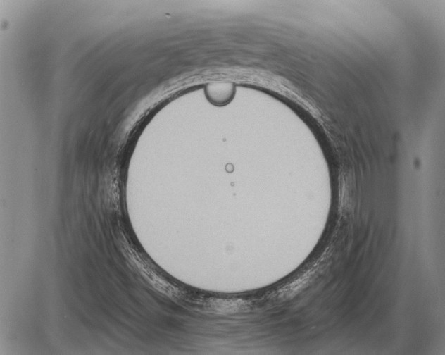 X0000085001498200703261115