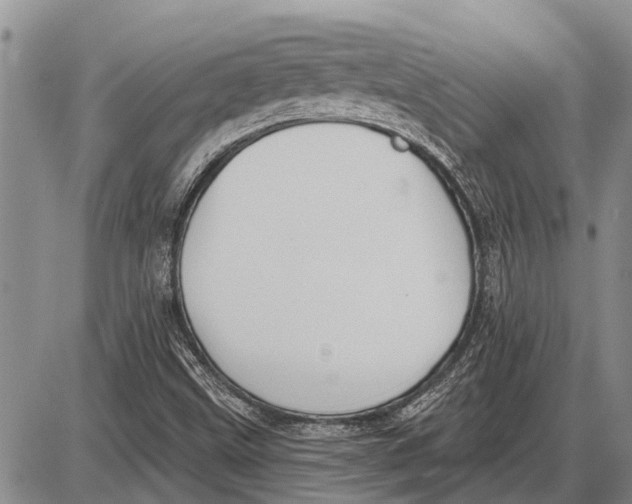 X0000085001499200703261115