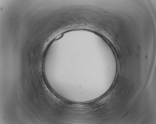 X0000085001500200703261115