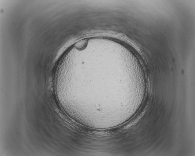 X0000085001501200703261115