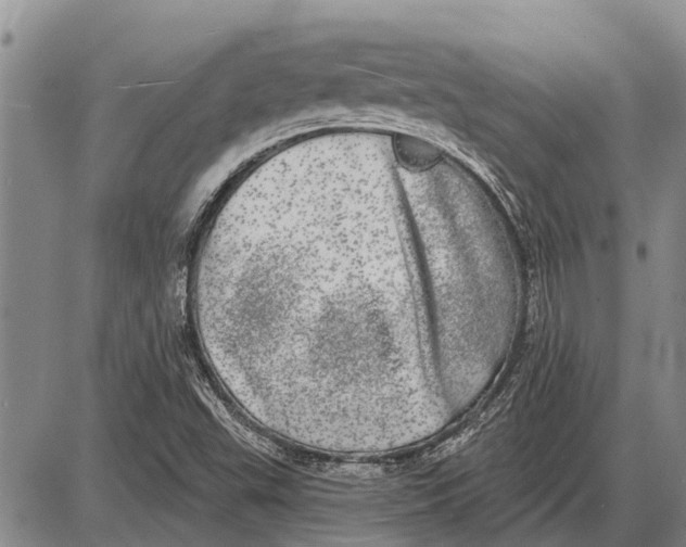 X0000085001503200703261115