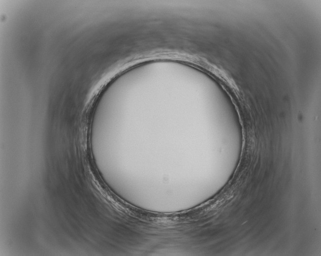 X0000085001504200703261115