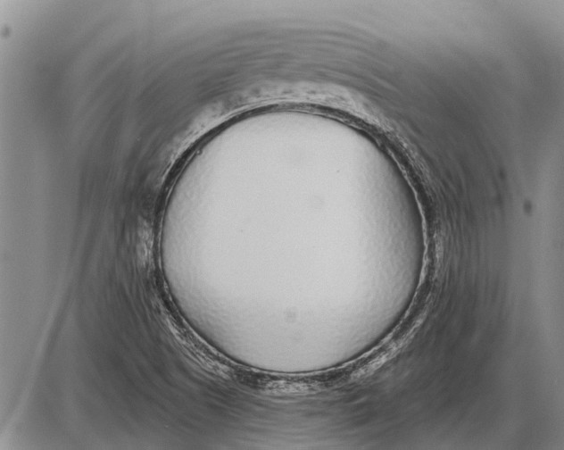 X0000085001505200703261115