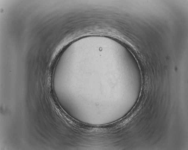 X0000085001506200703261115