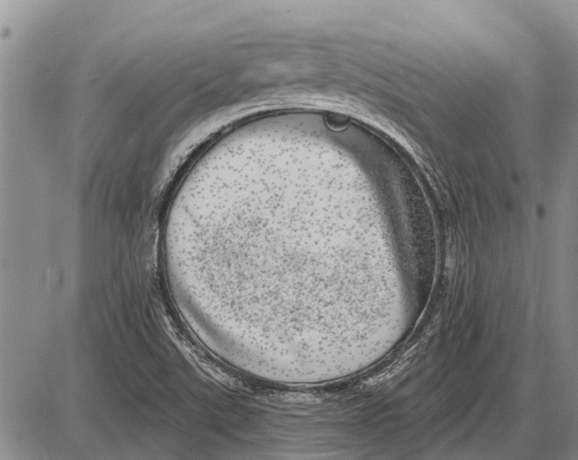 X0000085001507200703261115