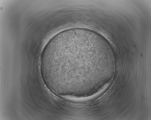 X0000085001508200703261115