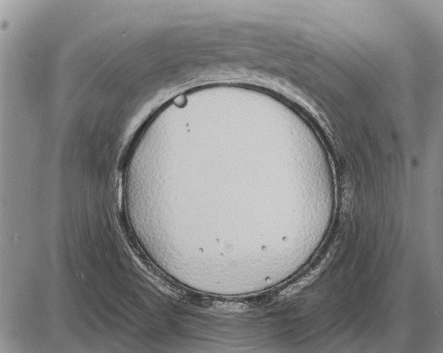 X0000085001509200703261115